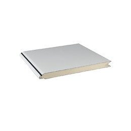 Porte Garage sectionnelle 240x200cm Lisse Blanc LDD