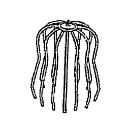 Crapaudine métallique pour tube descente gouttière DN80-100