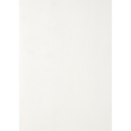 Lambris PVC blanc satiné 2m60