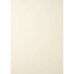 Lambris PVC blanc crème 400x25cm
