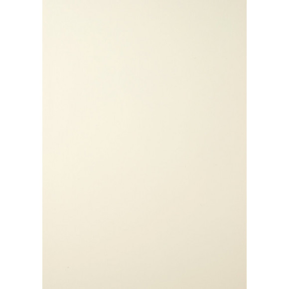 Lambris PVC blanc crème 400x25cm