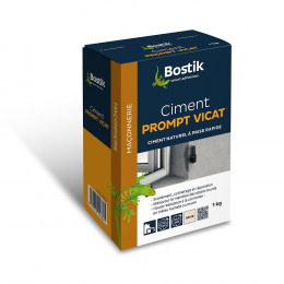 Ciment prompt vicat 1kg