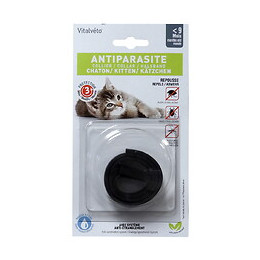 Collier insectifuge pour chaton