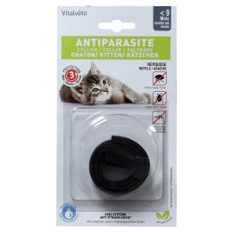 Collier insectifuge pour chaton