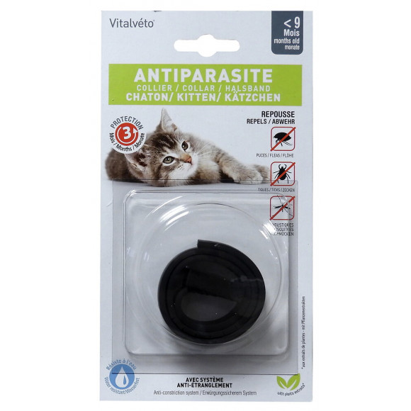 Collier insectifuge pour chaton