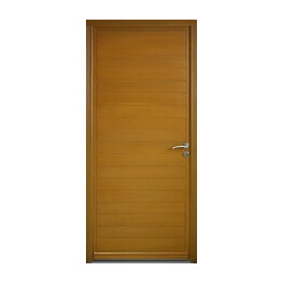 Porte d'entrée lucie 1 215x90cm gauche