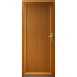 Porte secondaire plein 200x80cm gauche