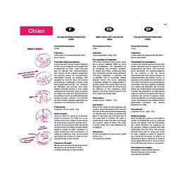 E.collier chien noir 60cm