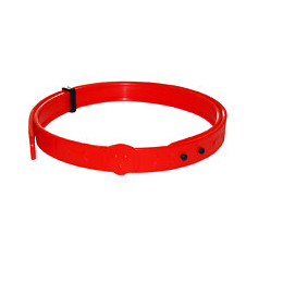 Collier antiparasitaire ESSENTIEL rouge pour chien