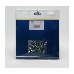 Sachet de 100 vis autoperceuses 6x80