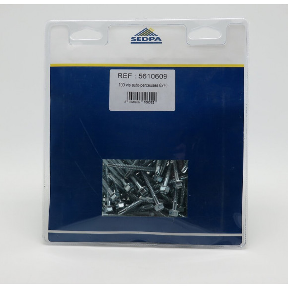 Sachet de 100 vis autoperceuses 6x80