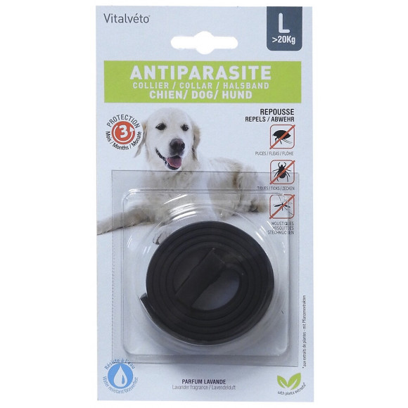Collier insectifuge pour grands chiens