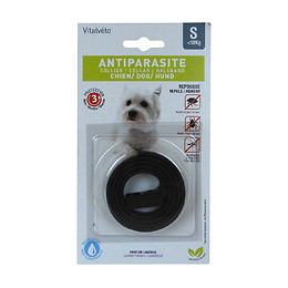 Collier insectifuge pour chiot et petit chien