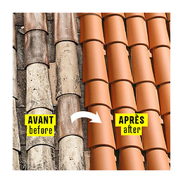 Hydrofuge Coloré Imperméabilisant Toiture Tuiles Terre Cuite Béton Ciment Fibrociment Ardoise Hydrofuge Teinté - Tuile (ral