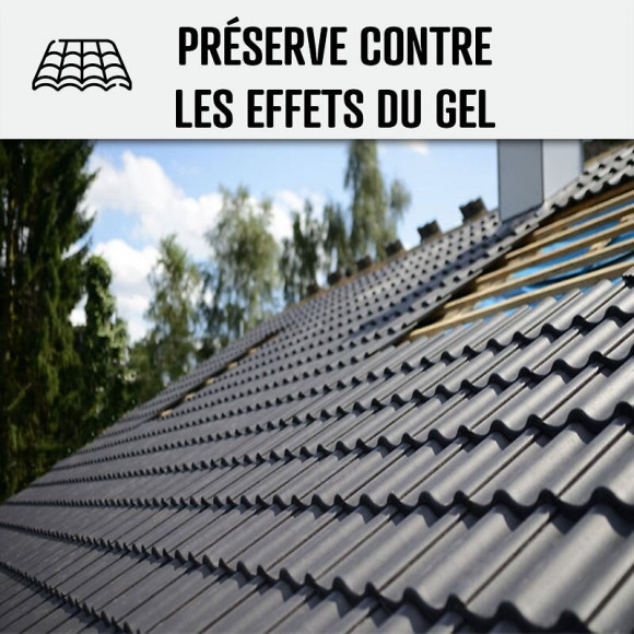 Hydrofuge Toiture, Imperméabilisant Toiture Et Tuiles Incolore - Impertoiture Hydro - Incolore - 5 L (jusqu A 25m2) - Arcane I