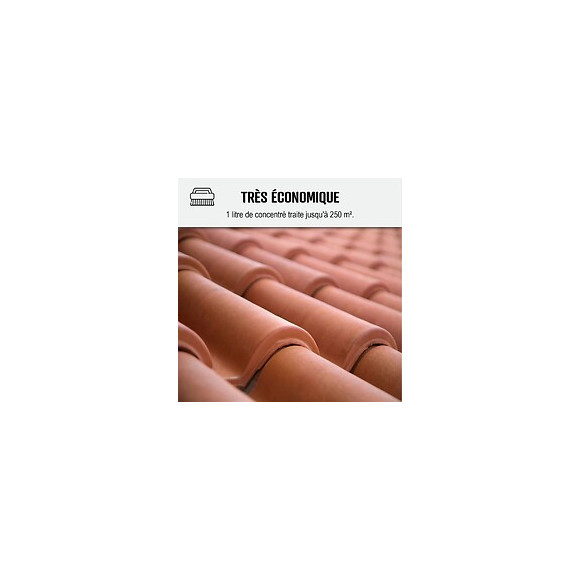 Fongicide Ultra Concentré Pour Toiture Murs Façade Terrasse Antimousse Élimine Aussi Algues Et Lichens - Anti-dépôt Vert -