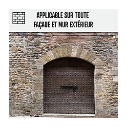 Nettoyant Facade Produit Professionnel Rapide Crépi Enduit - Transparent - 20 L - Arcane Industries