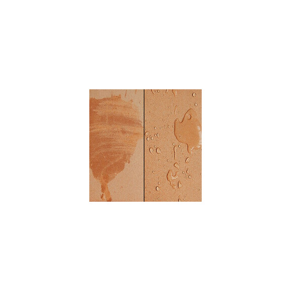 Imperméabilisant Hydrofuge Effet Mouillé Oléofuge Anti Tache Sol Mur Façade Arcafuge Effet Mouillé - Liquide- Transparent 