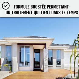 Fongicide Concentré Antimousse Pour Murs Façade - Élimine Aussi Algues Et Lichens  - Anti-dépôt Vert - Liquide- Transparen
