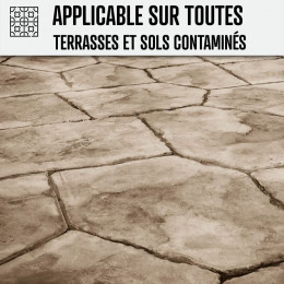 Nettoyant Terrasse Professionnel Rapide Pavé Autobloquant Pierre Béton - Transparent - 5 L - Arcane Industries
