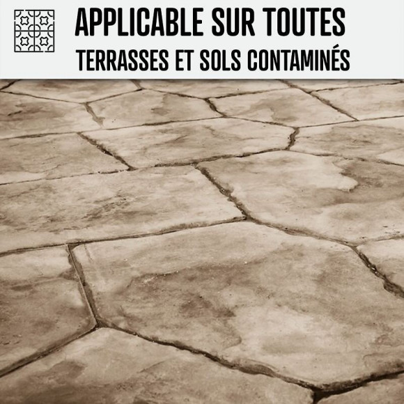 Nettoyant Terrasse Professionnel Rapide Pavé Autobloquant Pierre Béton - Transparent - 5 L - Arcane Industries