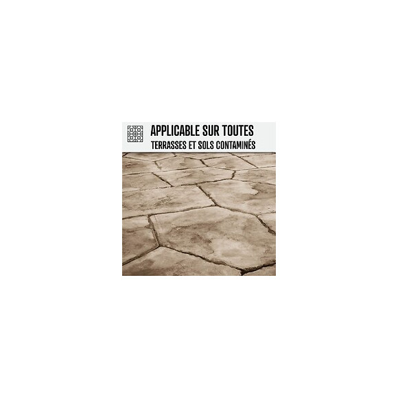 Nettoyant Terrasse Professionnel Rapide Pavé Autobloquant Pierre Béton - Transparent - 5 L - Arcane Industries