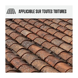 Nettoyant Flash Pour Toiture Tuile, Béton, Ardoise, Terre Cuite Action Ultra Rapide - Transparent - 200 L - Arcane Industries