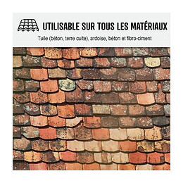 Nettoyant Flash Pour Toiture Tuile, Béton, Ardoise, Terre Cuite Action Ultra Rapide - Transparent - 5 L - Arcane Industries