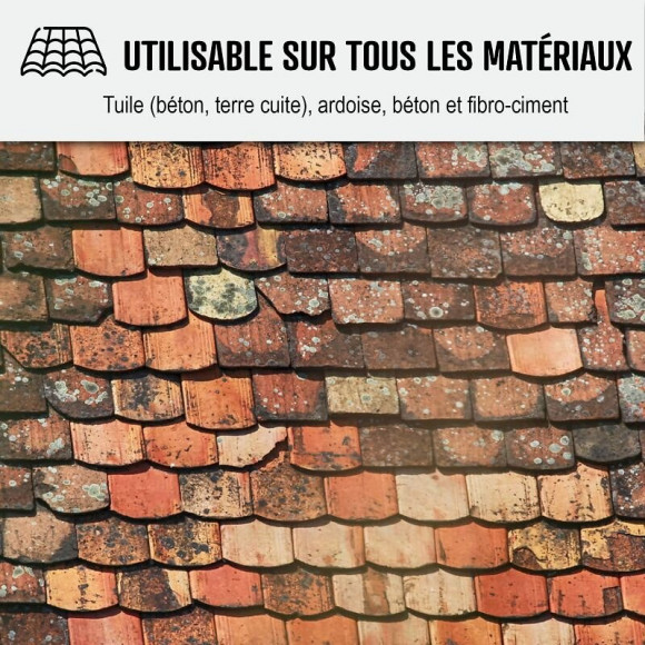 Nettoyant Flash Pour Toiture Tuile, Béton, Ardoise, Terre Cuite Action Ultra Rapide - Transparent - 200 L - Arcane Industries