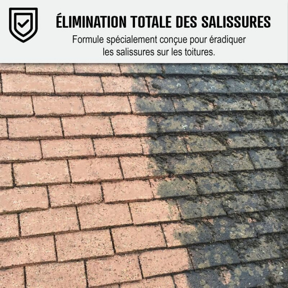 Nettoyant Flash Pour Toiture Tuile, Béton, Ardoise, Terre Cuite Action Ultra Rapide - Transparent - 5 L - Arcane Industries