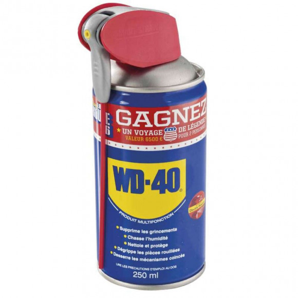 Bombe Dégrippant  Wd40 250ml