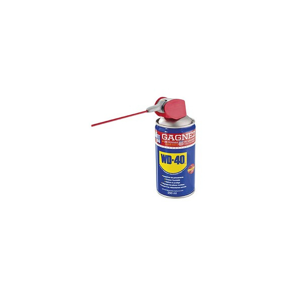 Bombe Dégrippant  Wd40 250ml