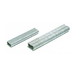 250 Agrafes Galvanisées 16 Mm