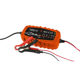 Chargeur de batterie automatique M + Maintien de charge