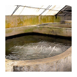 Étanchéité Bassin Citerne Béton Enduit Souple Pour Ouvrage Hors-sol Ou Fissuré Piscine Sous Carrelage - Arcacim S2 - Gris 