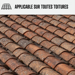 Nettoyant Flash Pour Toiture Tuile, Béton, Ardoise, Terre Cuite Action Ultra Rapide - Transparent - 20 L - Arcane Industries