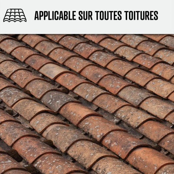 Nettoyant Flash Pour Toiture Tuile, Béton, Ardoise, Terre Cuite Action Ultra Rapide - Transparent - 20 L - Arcane Industries