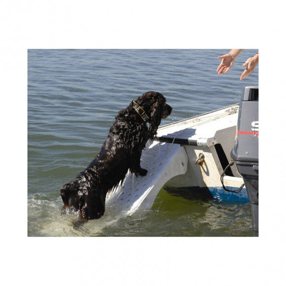 Grande Rampe De Sauvetage Chien Ou Animaux- Piscine Skamper-ramp - Générique - Slr-800-0001-01