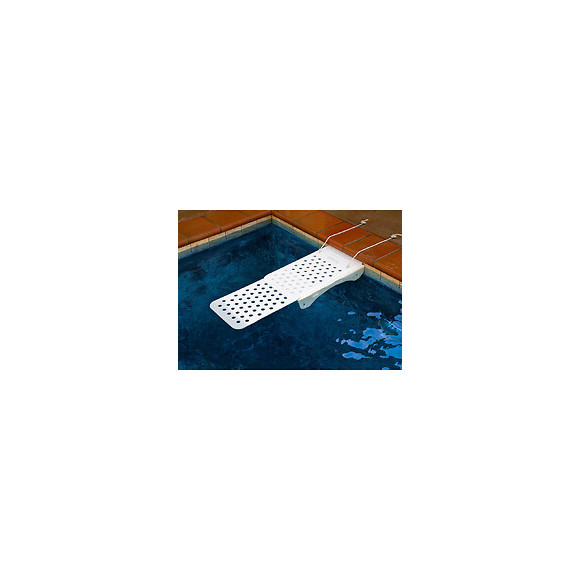Grande Rampe De Sauvetage Chien Ou Animaux- Piscine Skamper-ramp - Générique - Slr-800-0001-01