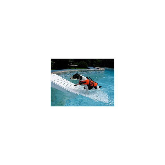 Grande Rampe De Sauvetage Chien Ou Animaux- Piscine Skamper-ramp - Générique - Slr-800-0001-01
