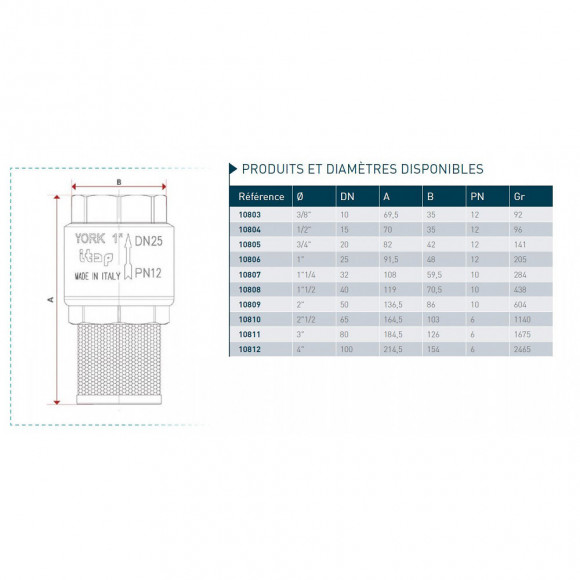 Clapet Crépine (york) 3/8'' Pour Pompage Arrosage - Générique - So-10803