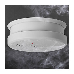 Evacuate-détecteur De Fumée Nf Autonomie 5 Ans