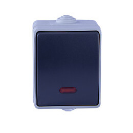 Va Et Vient Avec Voyant En Saillie Aquatop Ip54 - Gris Et Blanc