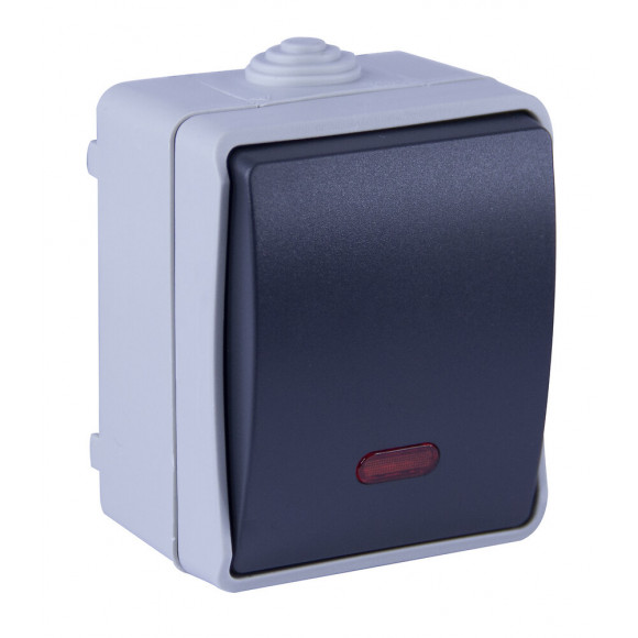 Va Et Vient Avec Voyant En Saillie Aquatop Ip54 - Gris Et Blanc