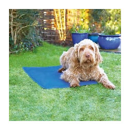 Rosewood Tapis De Refroidissement L - Bleu - Pour Animaux De Compagnie