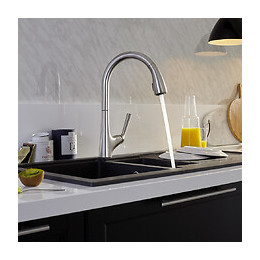 Mitigeur Évier Douchette Extractible Forte Inox Brossé