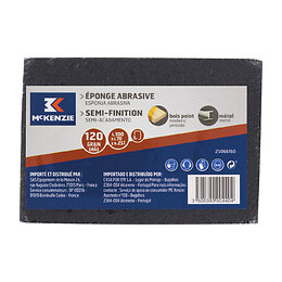 Eponge abrasive 100x70x25mm grain fin