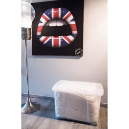 Eda Plastique Boite De Rangement Clipbox 60 L - Naturel Couvercle Avec Charniere - 60 X 40 X 40 Cm