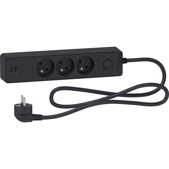 Bloc Multiprises 3 Prises 2p+t Et 2 Usb (câble 1,5m) Anthracite - Schneider