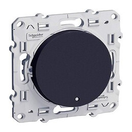 Va-et-vient Avec Voyant Lumineux Anthracite 10a À Vis Odace